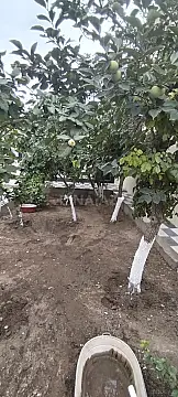 Satılır 2 otaqlı həyət evi 36 m²