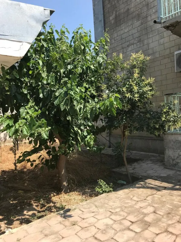 Satılır 5 otaqlı həyət evi 120 m²