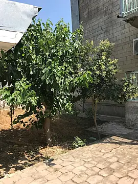 Satılır 5 otaqlı həyət evi 120 m²