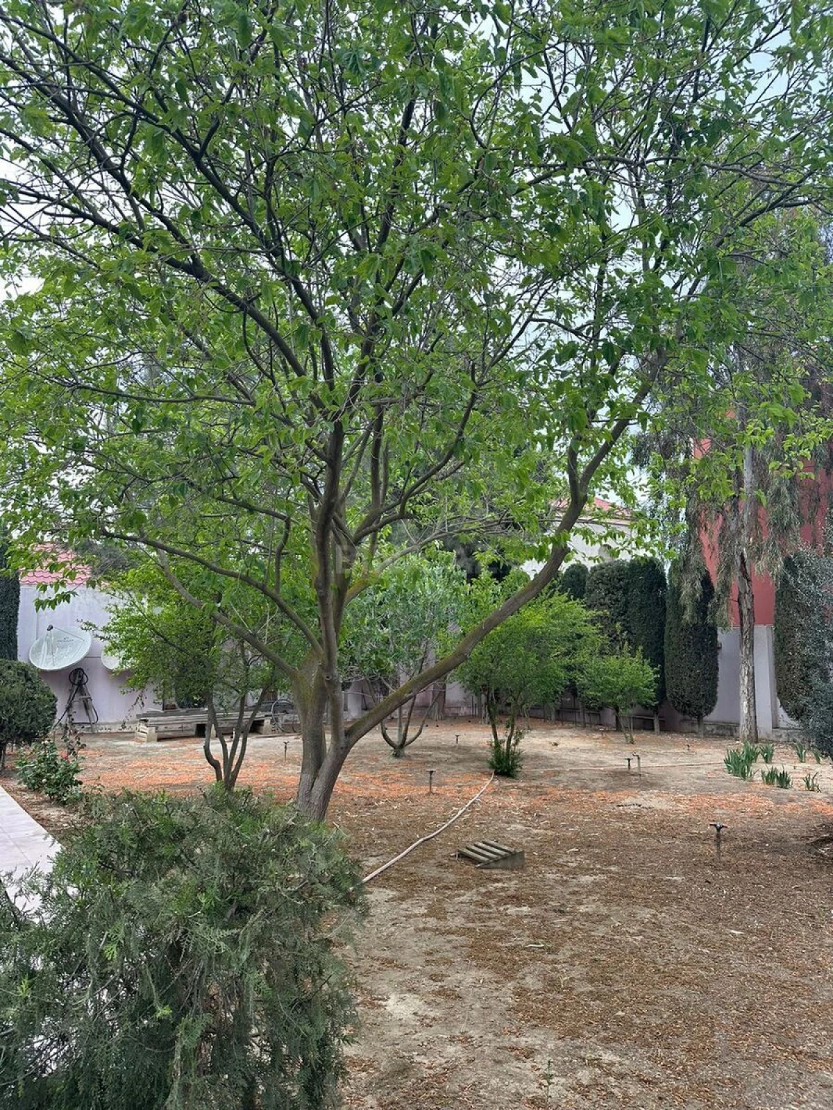 Satılır 5 otaqlı həyət evi 240 m²