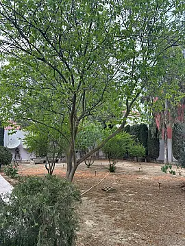 Satılır 5 otaqlı həyət evi 240 m²