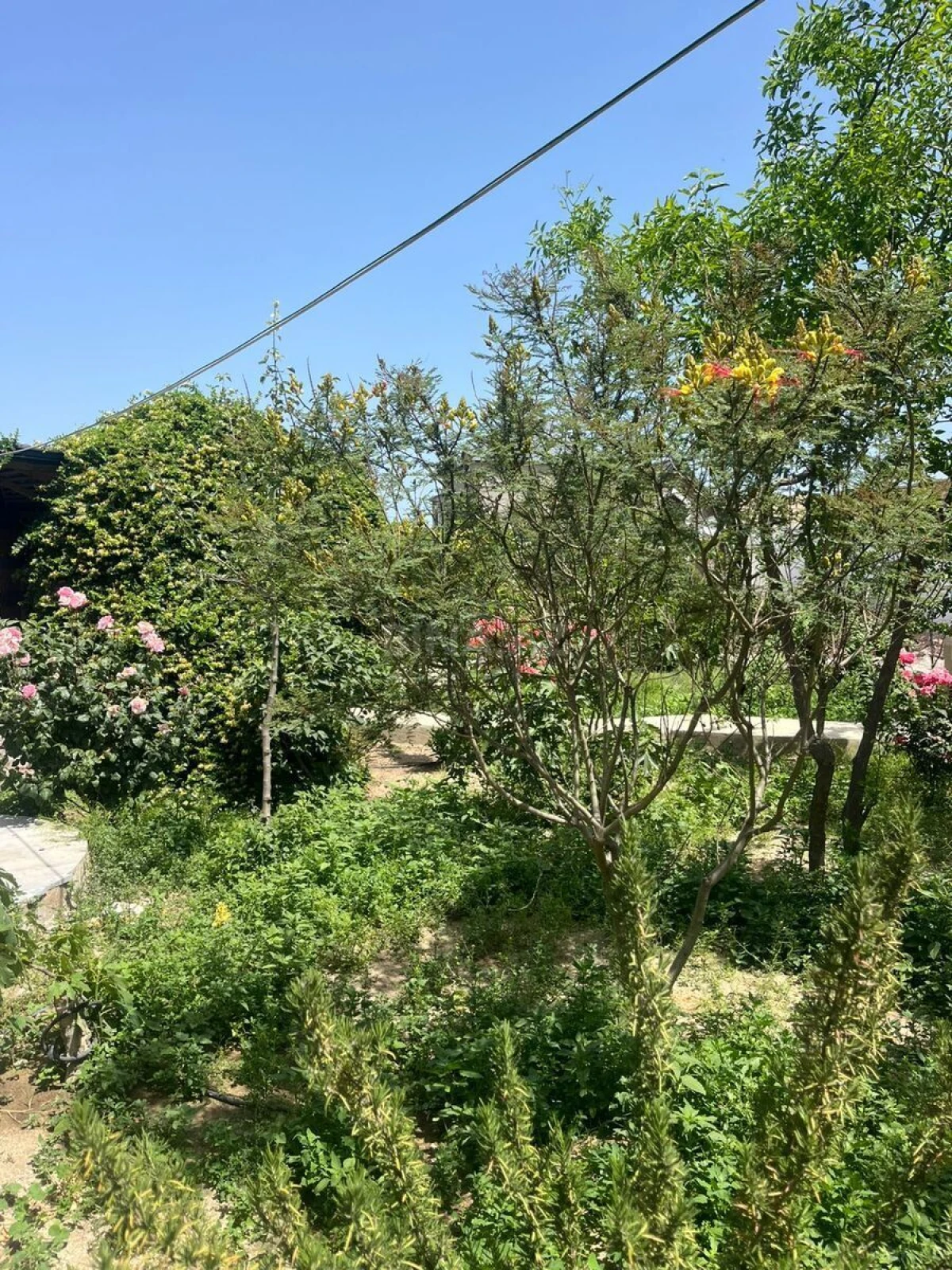 Satılır torpaq sahəsi 20 m²