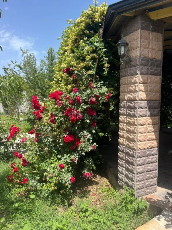 Satılır torpaq sahəsi 20 m²