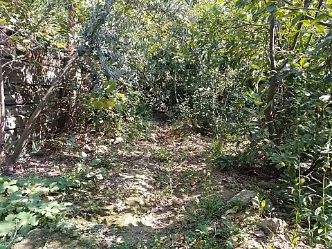 Satılır torpaq sahəsi 4.9 m²