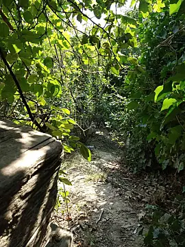 Satılır torpaq sahəsi 4.9 m²