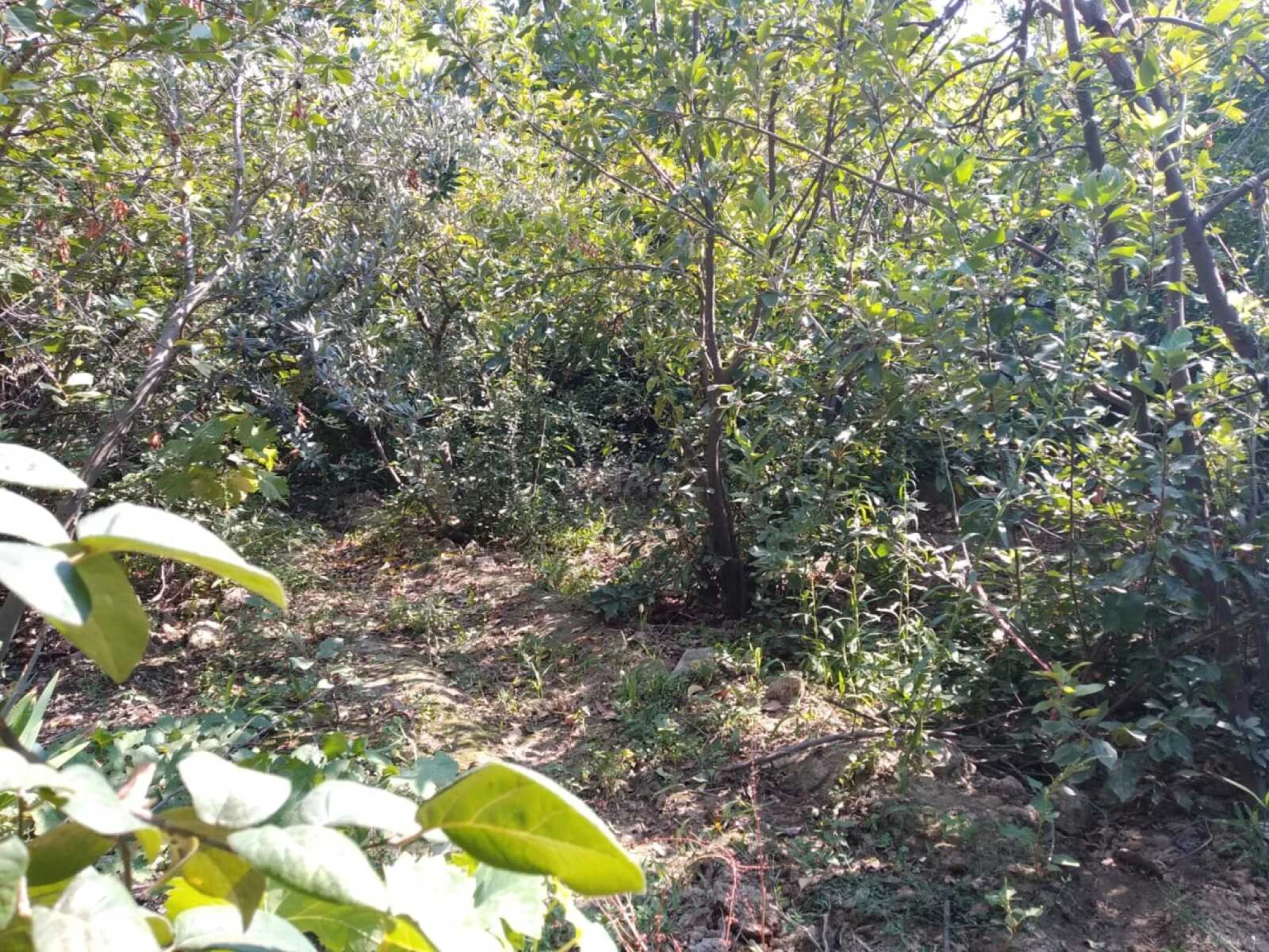 Satılır torpaq sahəsi 4.9 m²