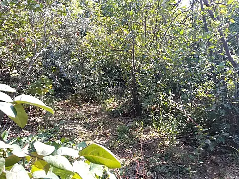 Satılır torpaq sahəsi 4.9 m²