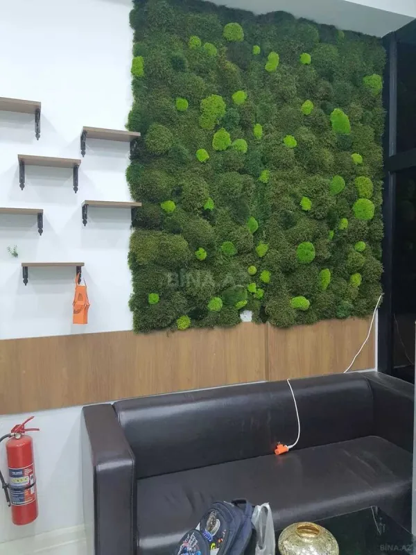 Satılır obyekt 68 m²