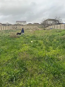 Satılır torpaq sahəsi 12 m² — Bakı, Bilgəh 12.00 m²