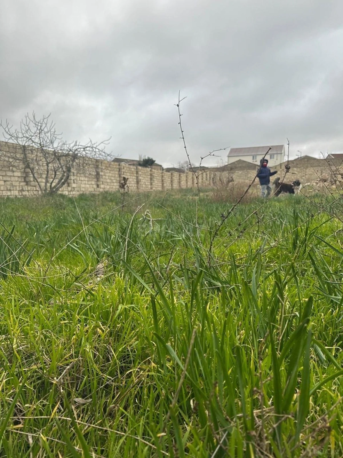 Satılır torpaq sahəsi 12 m²