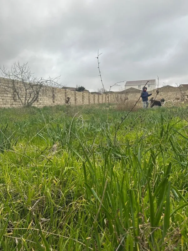 Satılır torpaq sahəsi 12 m²