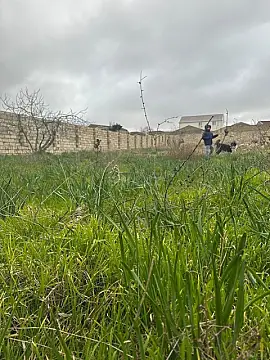 Satılır torpaq sahəsi 12 m²