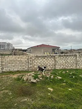 Satılır torpaq sahəsi 12 m²