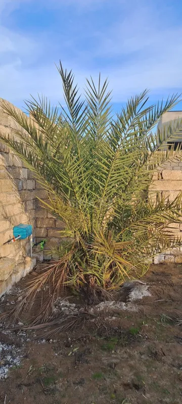 Satılır torpaq sahəsi 2 m²