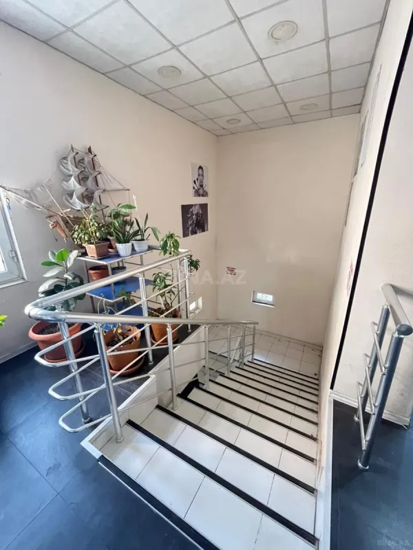 Kirayə verilir obyekt 250 m²