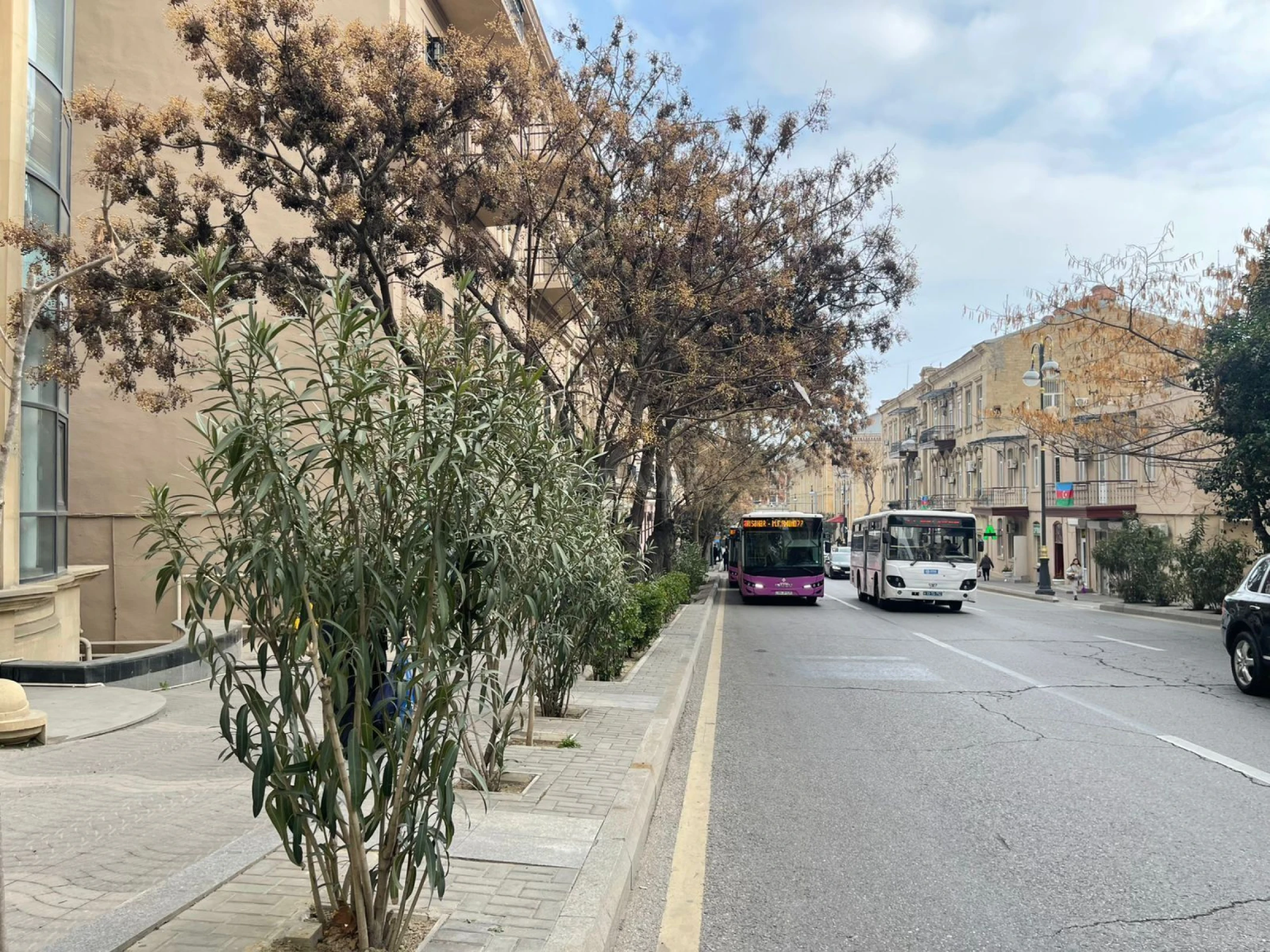 Kirayə verilir obyekt 300 m²