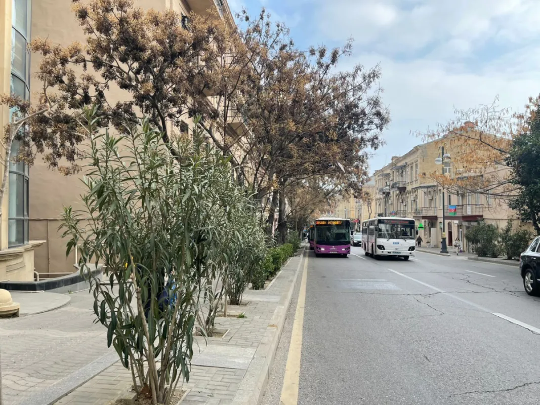 Kirayə verilir obyekt 300 m²