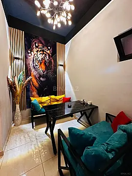 Satılır obyekt 280 m²