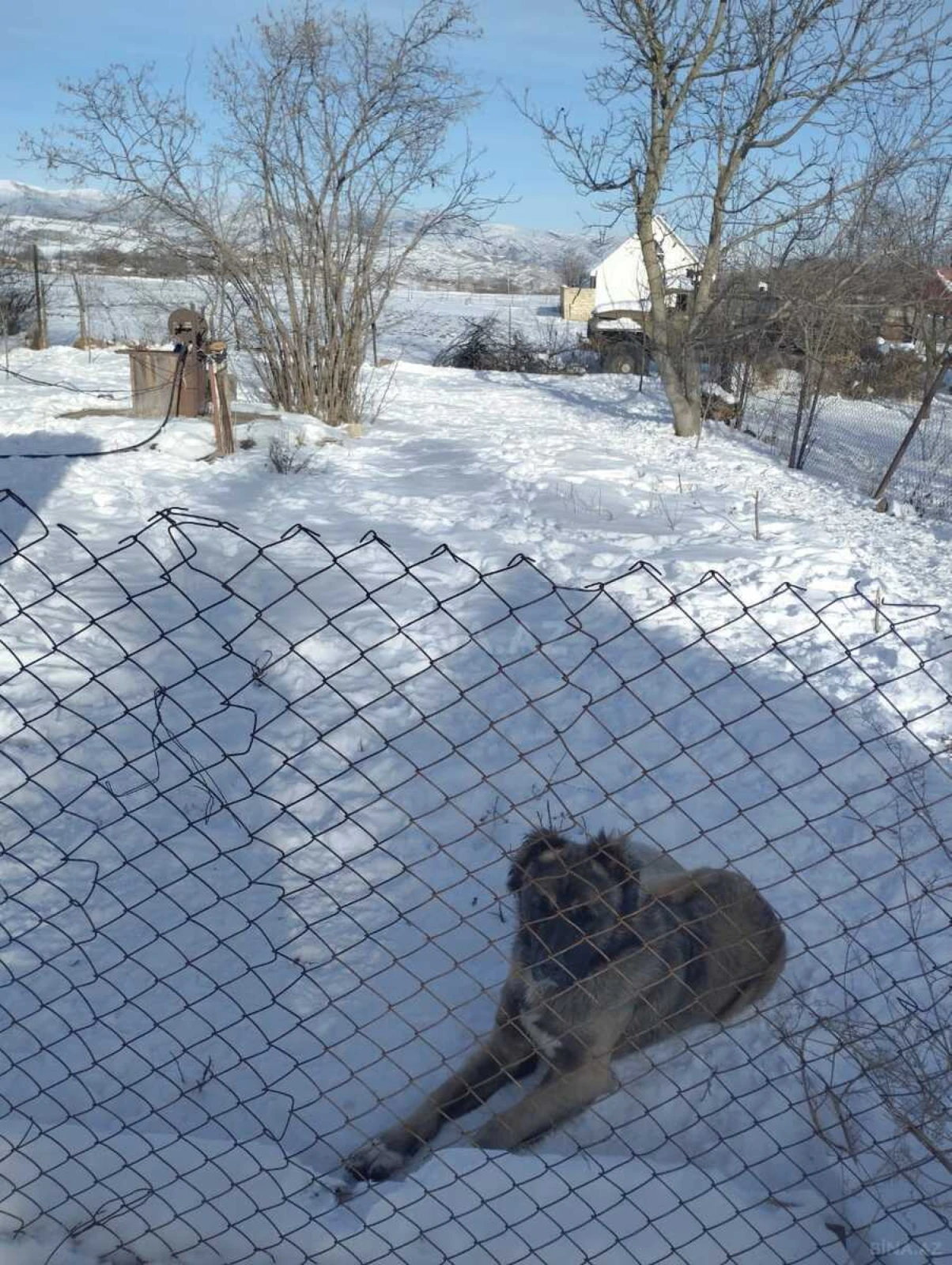 Satılır 2 otaqlı həyət evi 100 m²