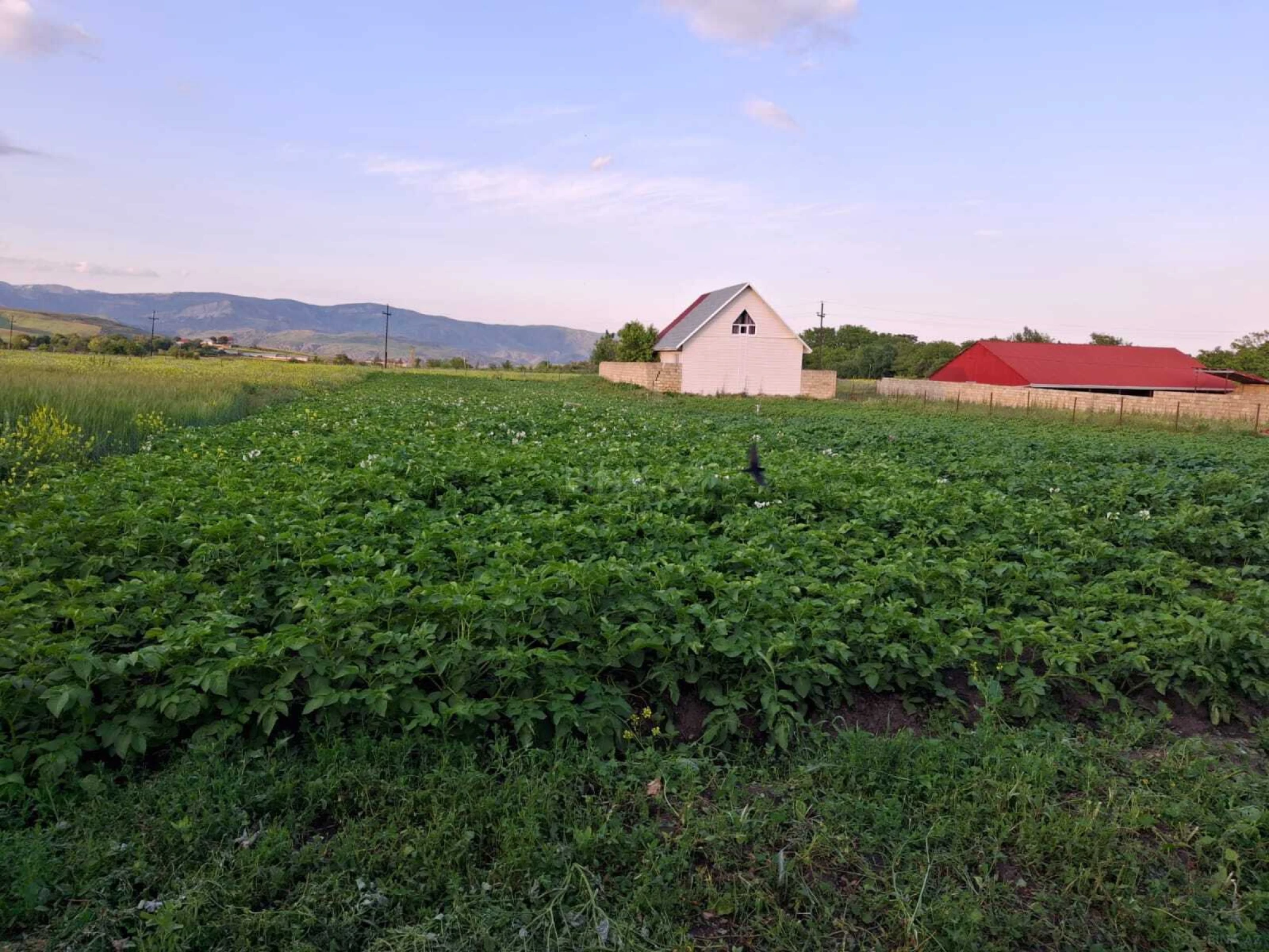 Satılır 2 otaqlı həyət evi 100 m²