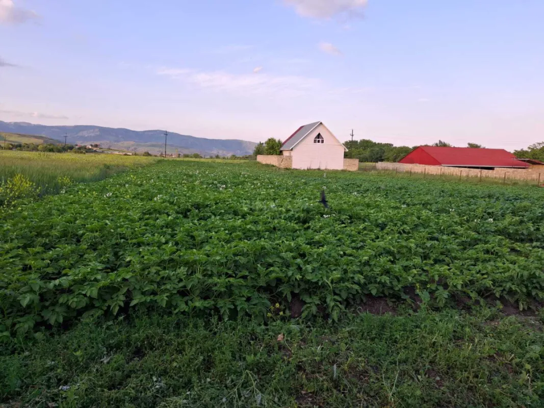 Satılır 2 otaqlı həyət evi 100 m²