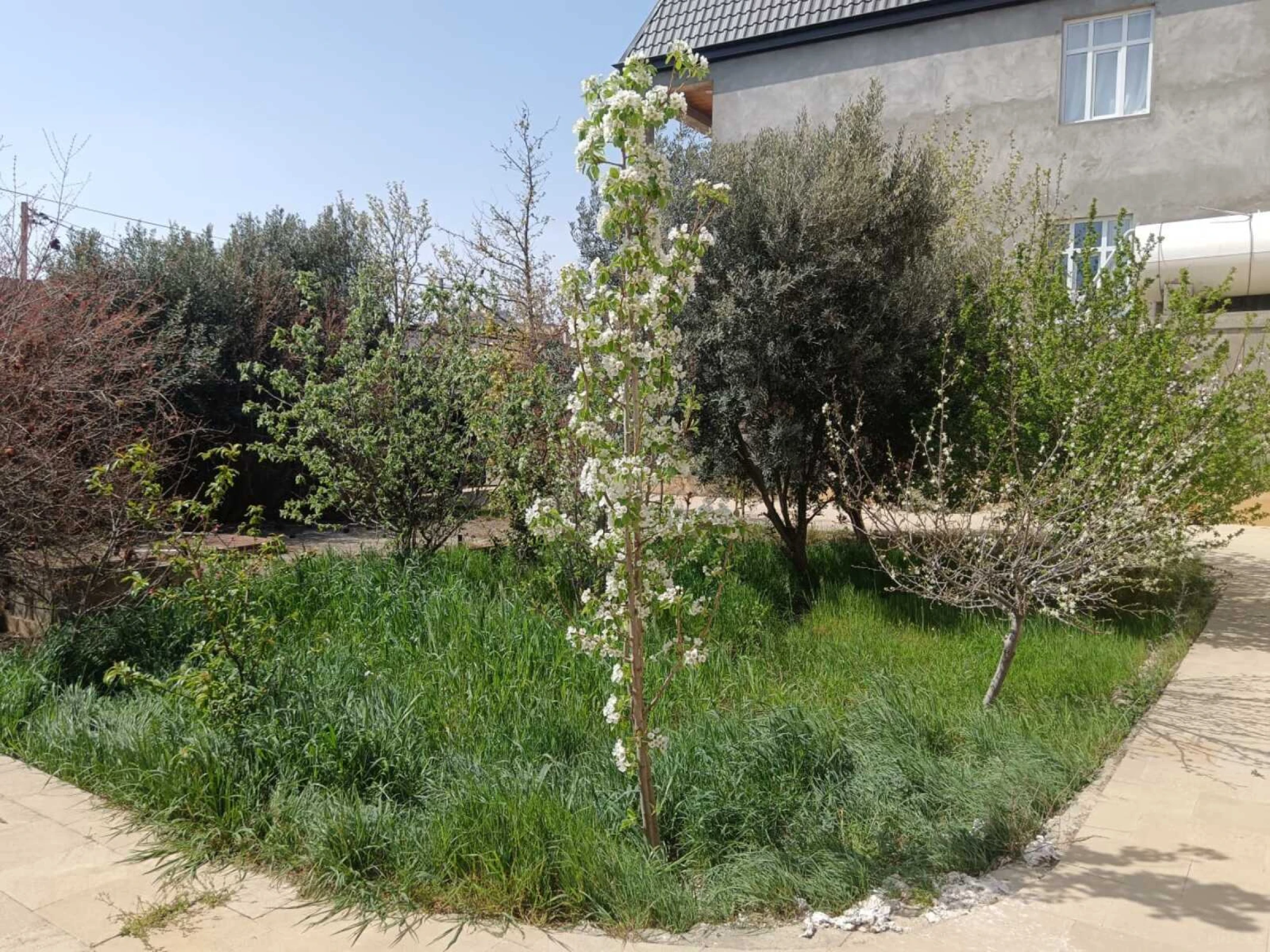 Satılır 8 otaqlı həyət evi 280 m²