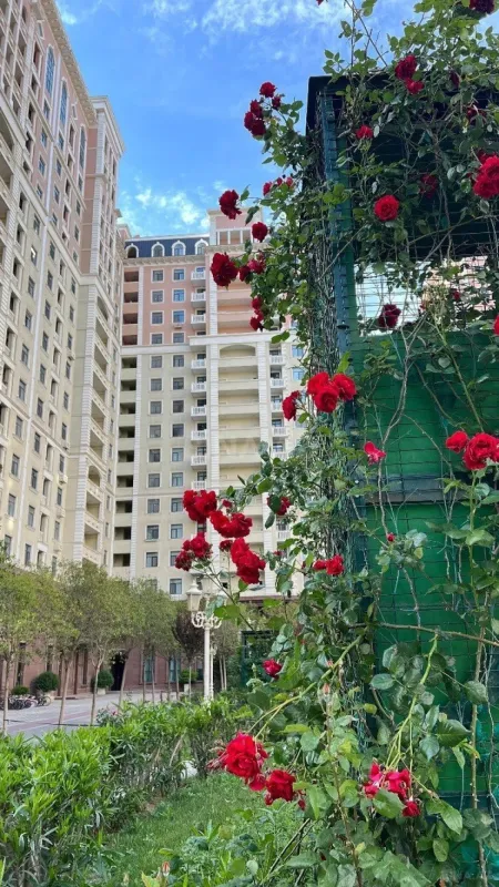 Satılır 2 otaqlı mənzil 68 m²