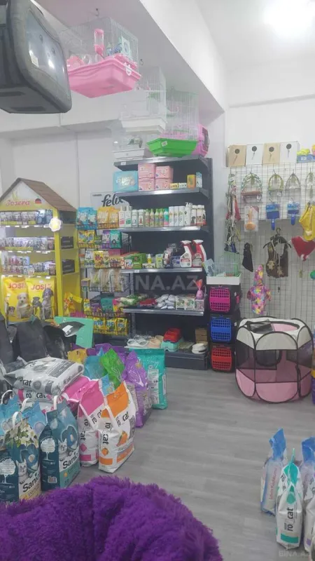 Kirayə verilir obyekt 55 m²