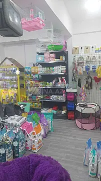 Kirayə verilir obyekt 55 m²