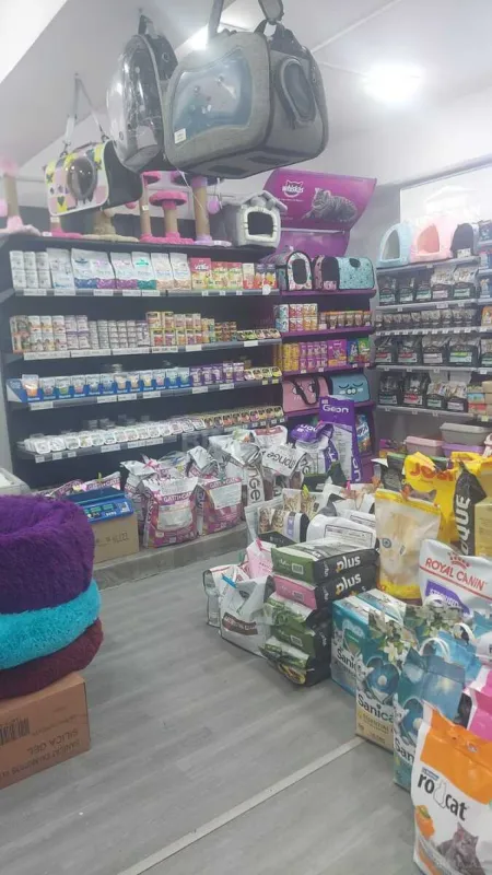 Kirayə verilir obyekt 55 m²