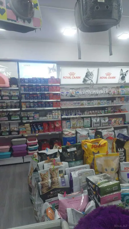 Kirayə verilir obyekt 55 m²