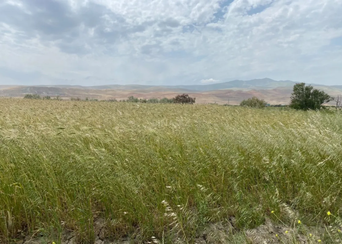 Satılır torpaq sahəsi 200 m²