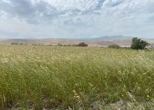 Satılır torpaq sahəsi 200 m² — Bakı, Abşeron 200.00 m²