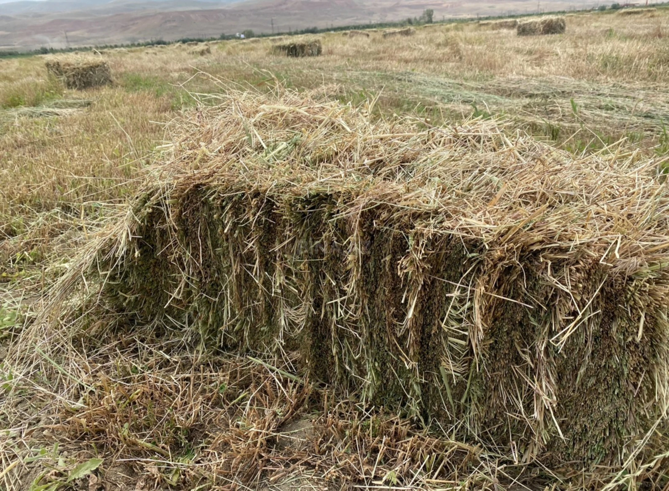 Satılır torpaq sahəsi 200 m²