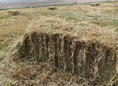 Satılır torpaq sahəsi 200 m²