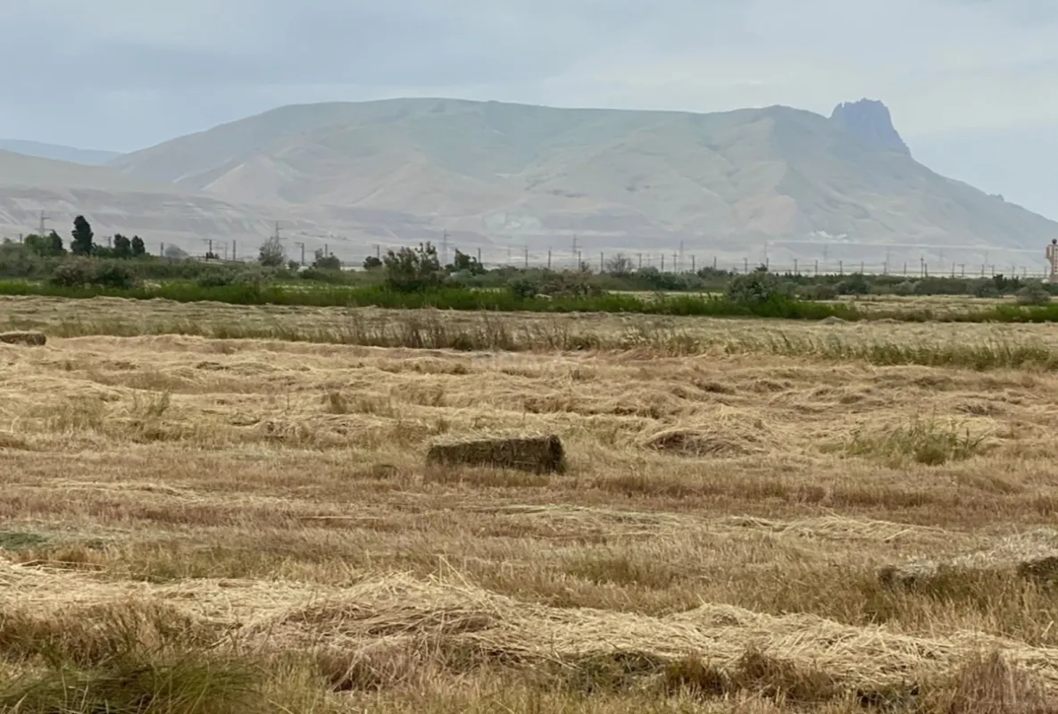 Satılır torpaq sahəsi 200 m²