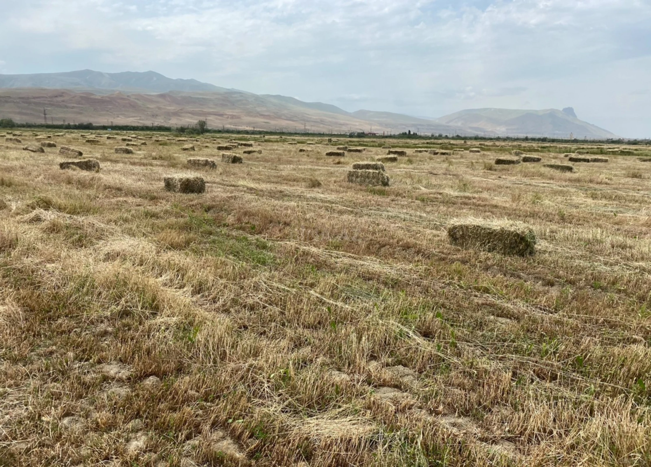 Satılır torpaq sahəsi 200 m²