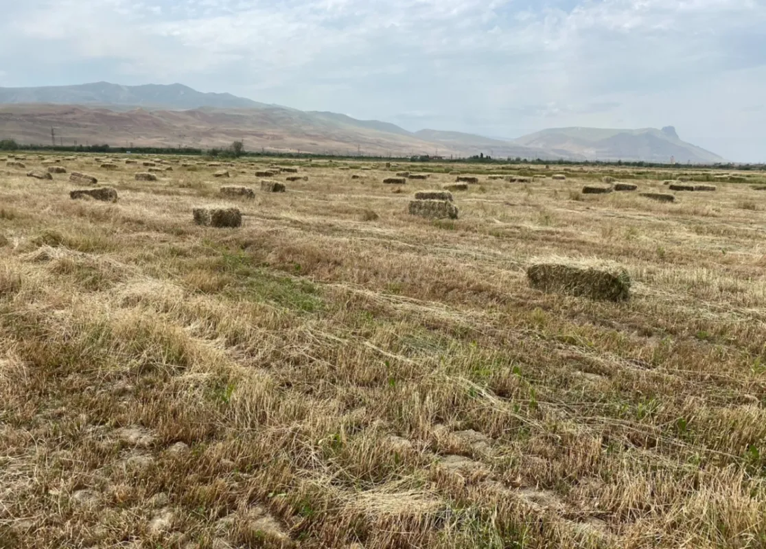 Satılır torpaq sahəsi 200 m²