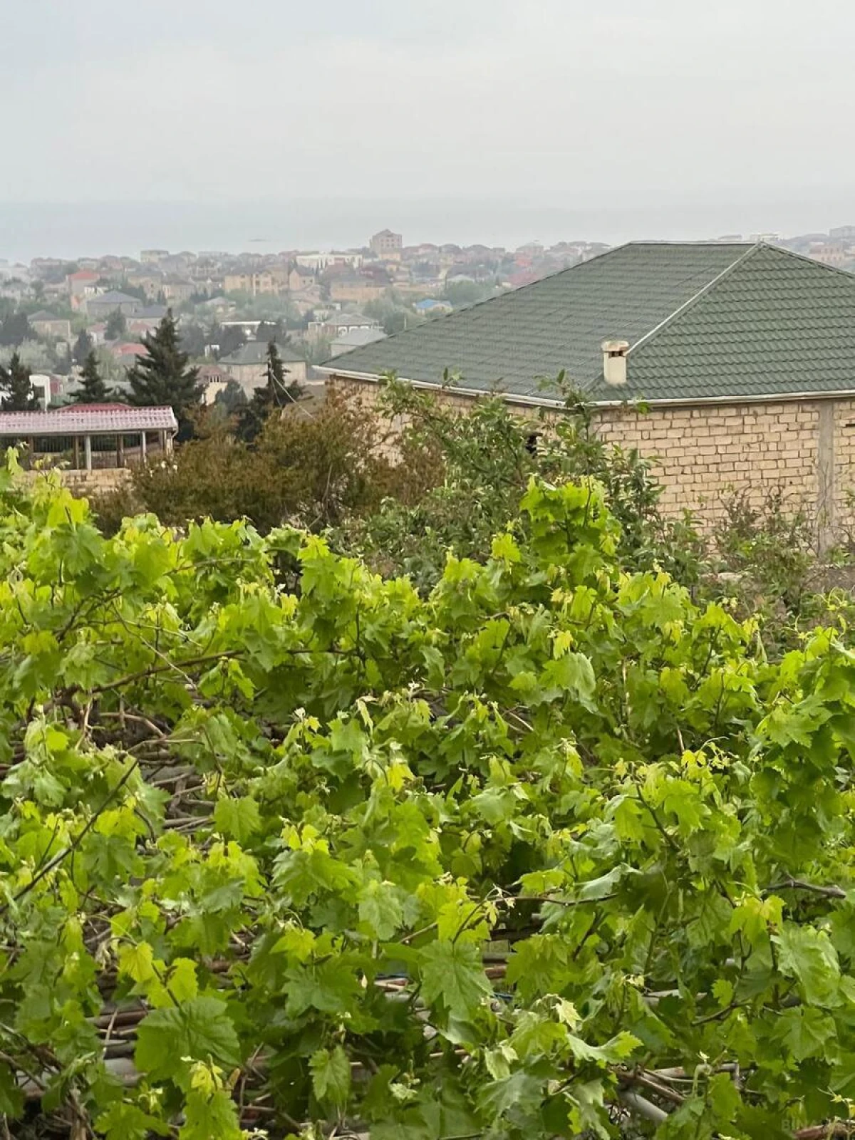 Satılır 6 otaqlı həyət evi 226 m²