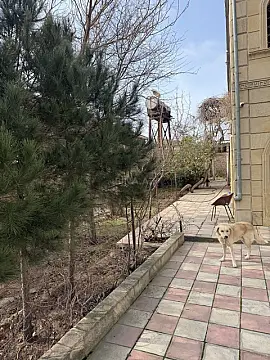 Satılır 10 otaqlı həyət evi 400 m²