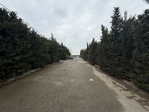 Satılır torpaq sahəsi 12 m²