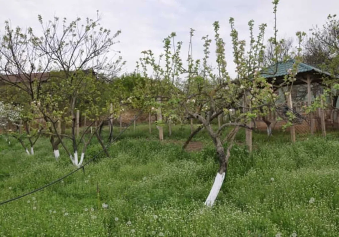 Satılır 6 otaqlı həyət evi 120 m²