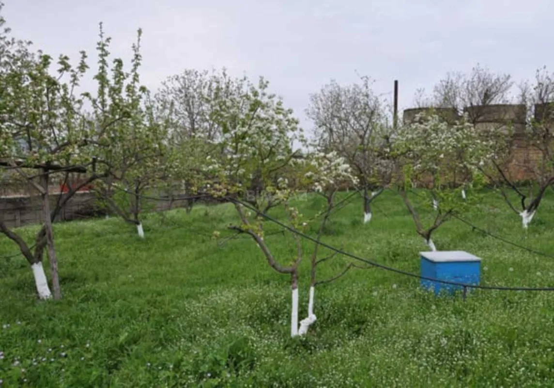 Satılır 6 otaqlı həyət evi 120 m²