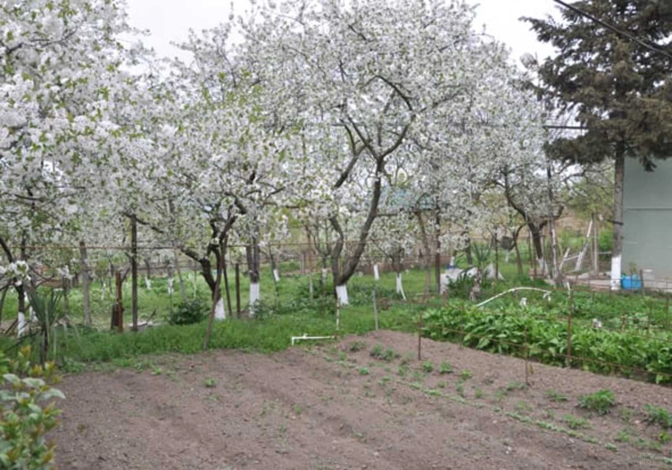 Satılır 6 otaqlı həyət evi 120 m²