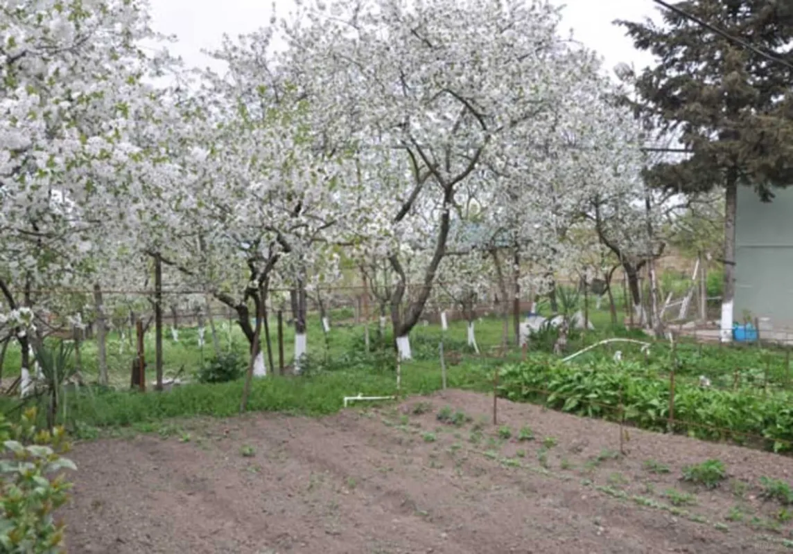 Satılır 6 otaqlı həyət evi 120 m²