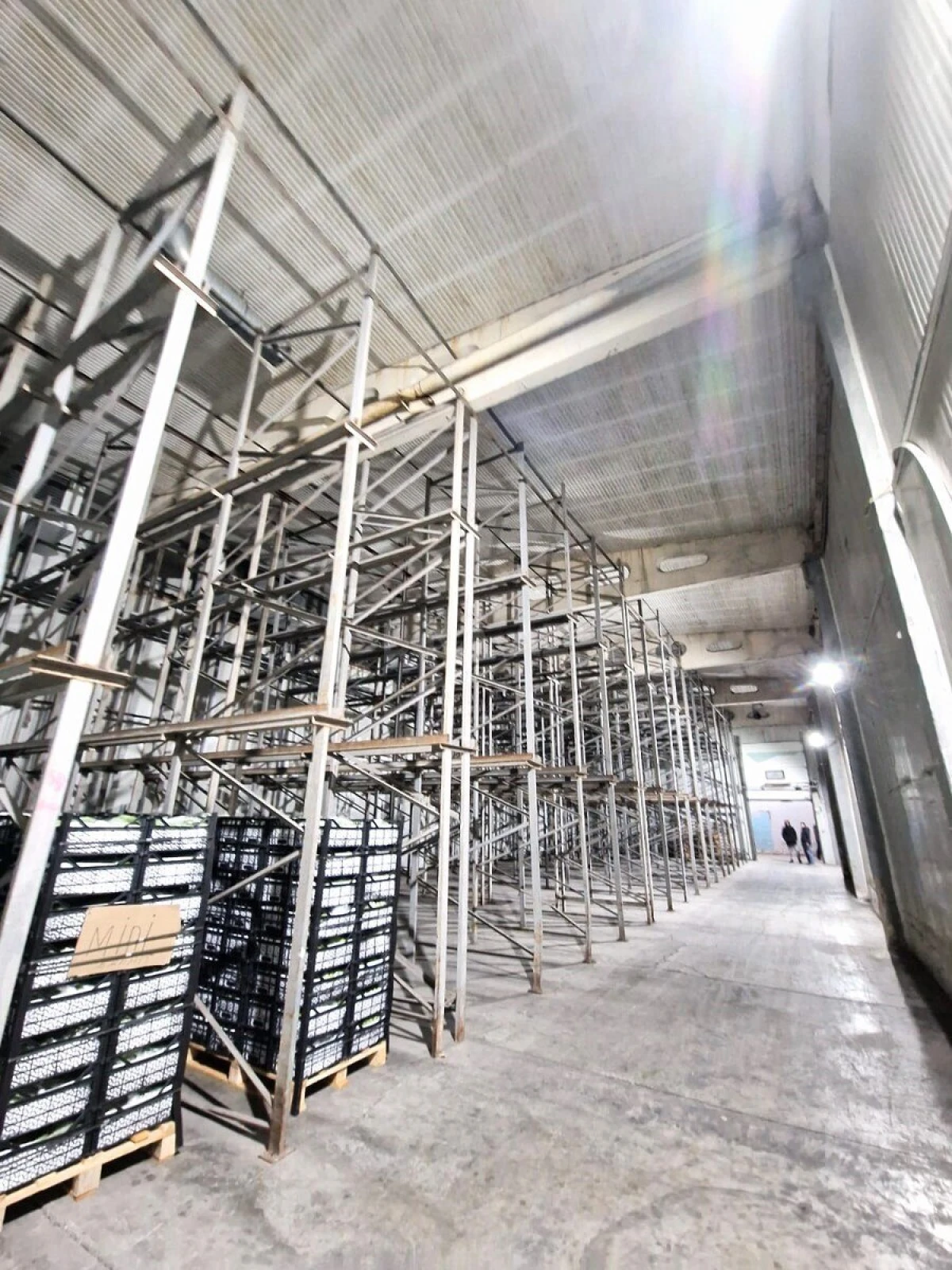 Kirayə verilir obyekt 350 m²