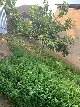 Satılır 4 otaqlı həyət evi 160 m²