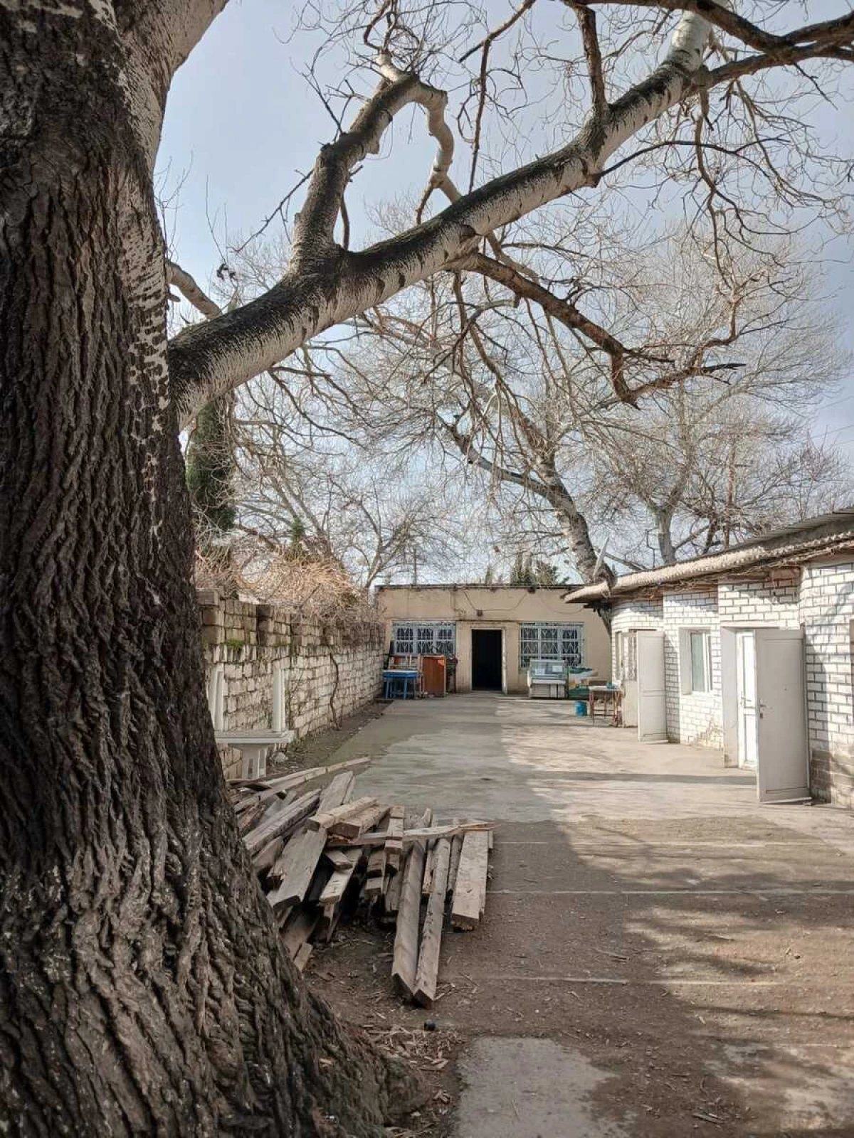 Satılır obyekt 155 m²