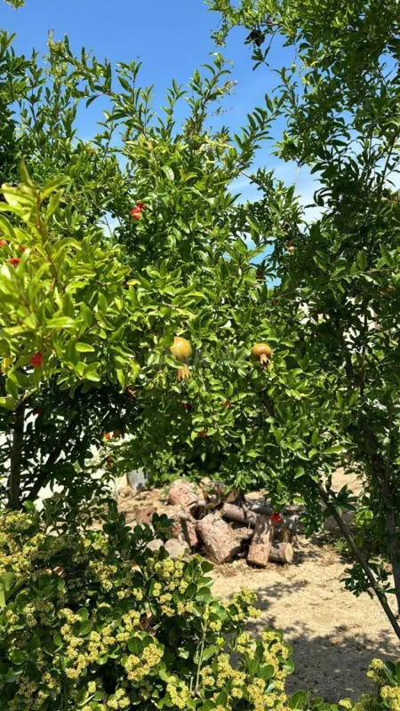 Satılır 3 otaqlı həyət evi 140 m²