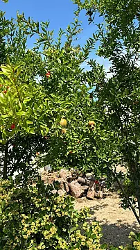 Satılır 3 otaqlı həyət evi 140 m²